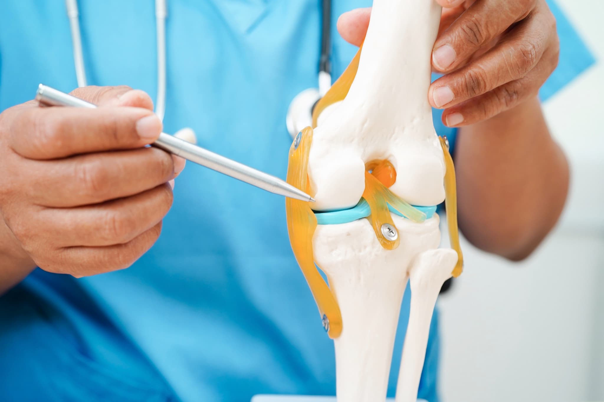 Surgeon explaining a knee joint model during consultation
